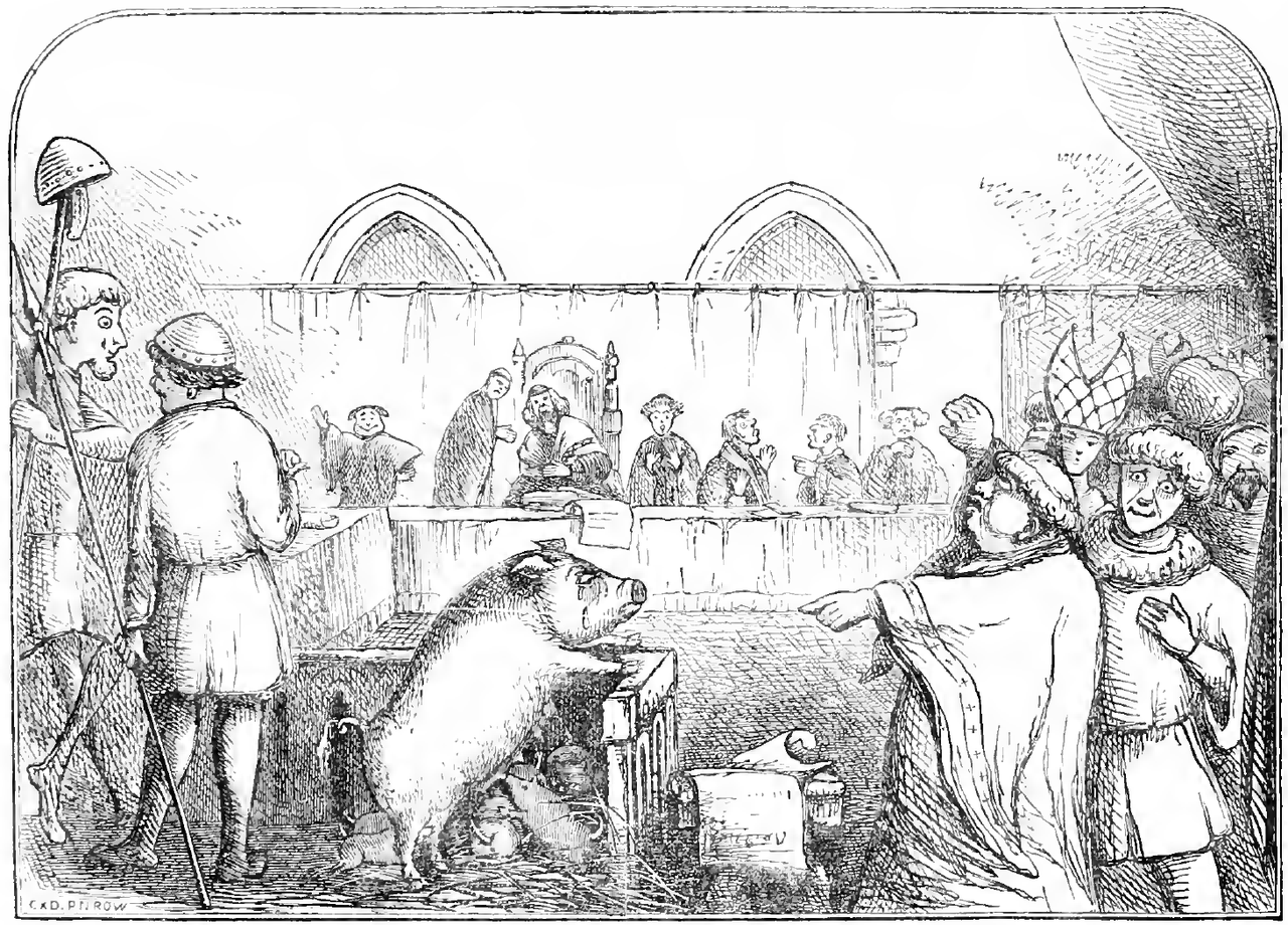 a pig on trial animal trials procès animaux medieval